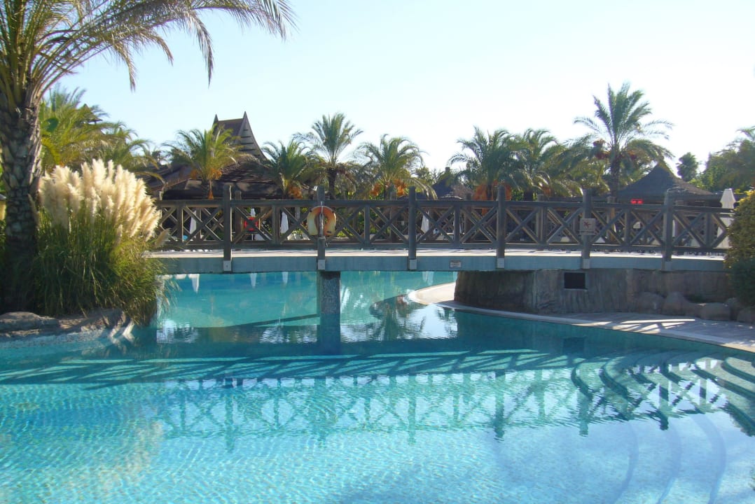 Sehr große Pool Landschaft Royal Wings Hotel