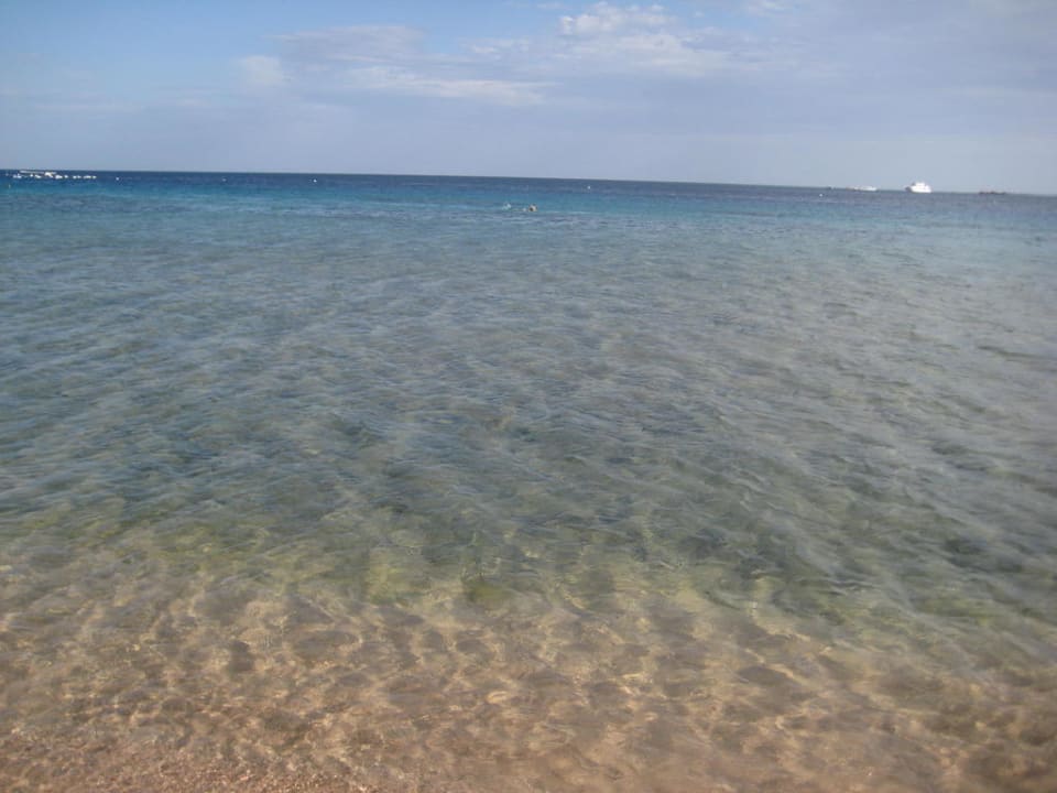 Blick aufs Meer Fort Arabesque Resort, Spa & Villas