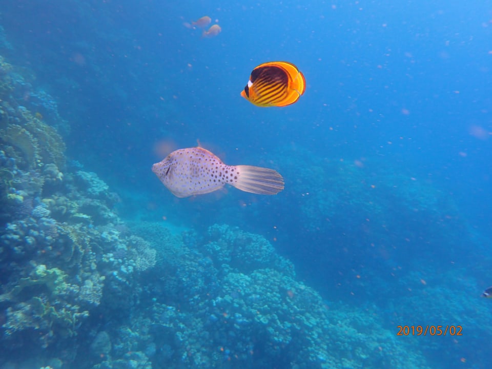 Strand Brayka Bay Resort