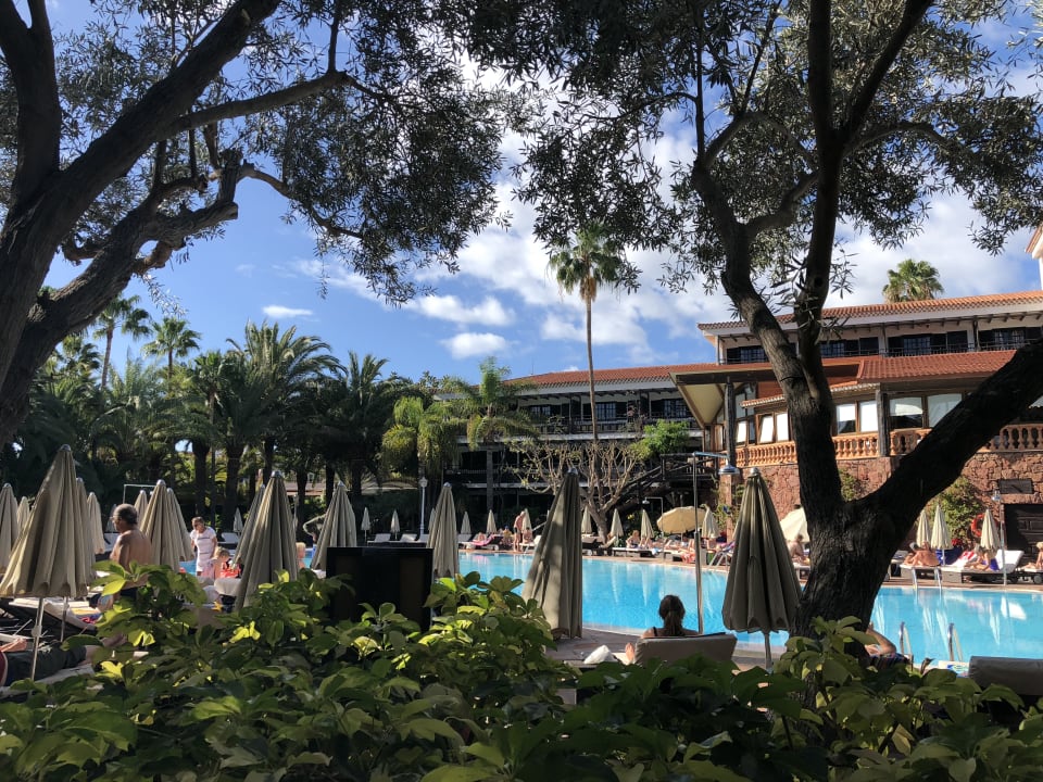 Pool Hotel Parque Tropical