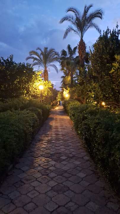 Gartenanlage MC Arancia Resort