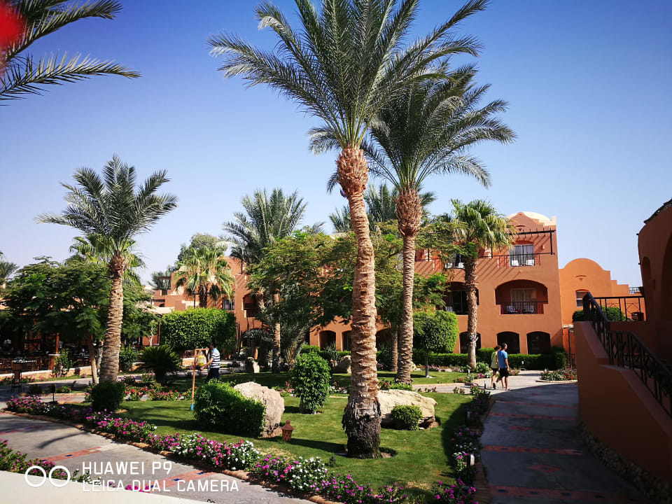 Gartenanlage Jaz Makadi Oasis Resort