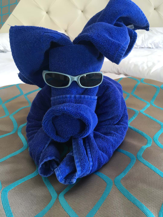 Zimmer Sentido Marea