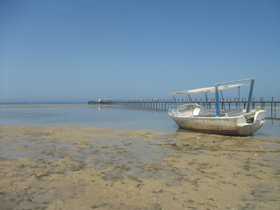 Ebbe und hauseigener Steg zum Riff Stella Beach Resort & Spa Makadi Bay