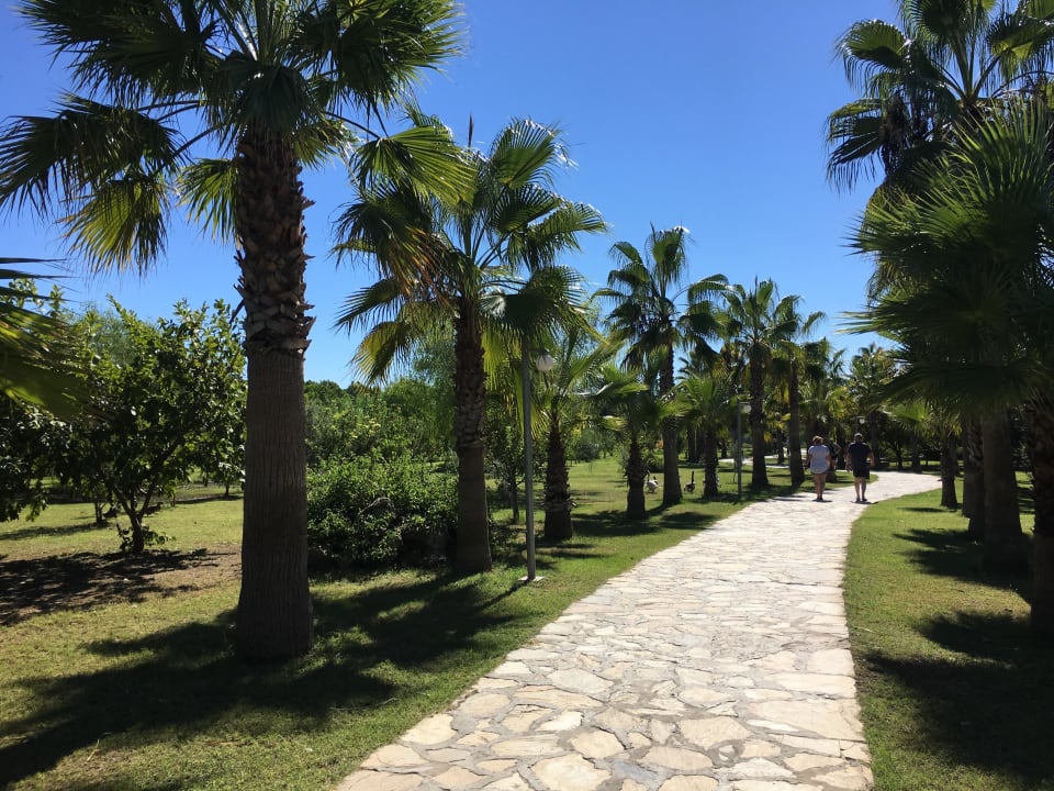 Weg zum Strand Club Grand Side