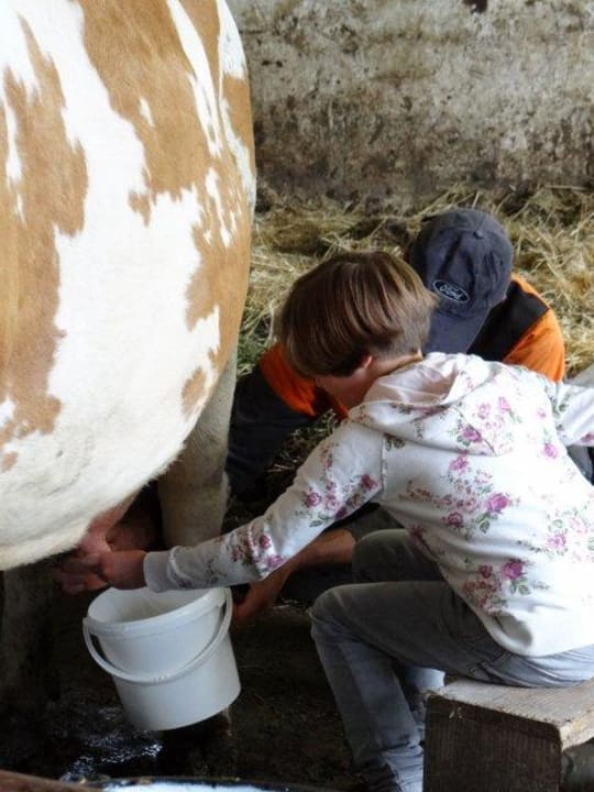 Bauernhof Fritzer Stalldiplom Bio - & Kinderbauernhof Fritzer