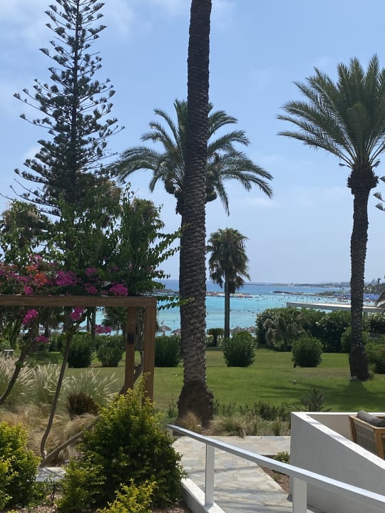 Gartenanlage Hotel Nissi Beach Resort