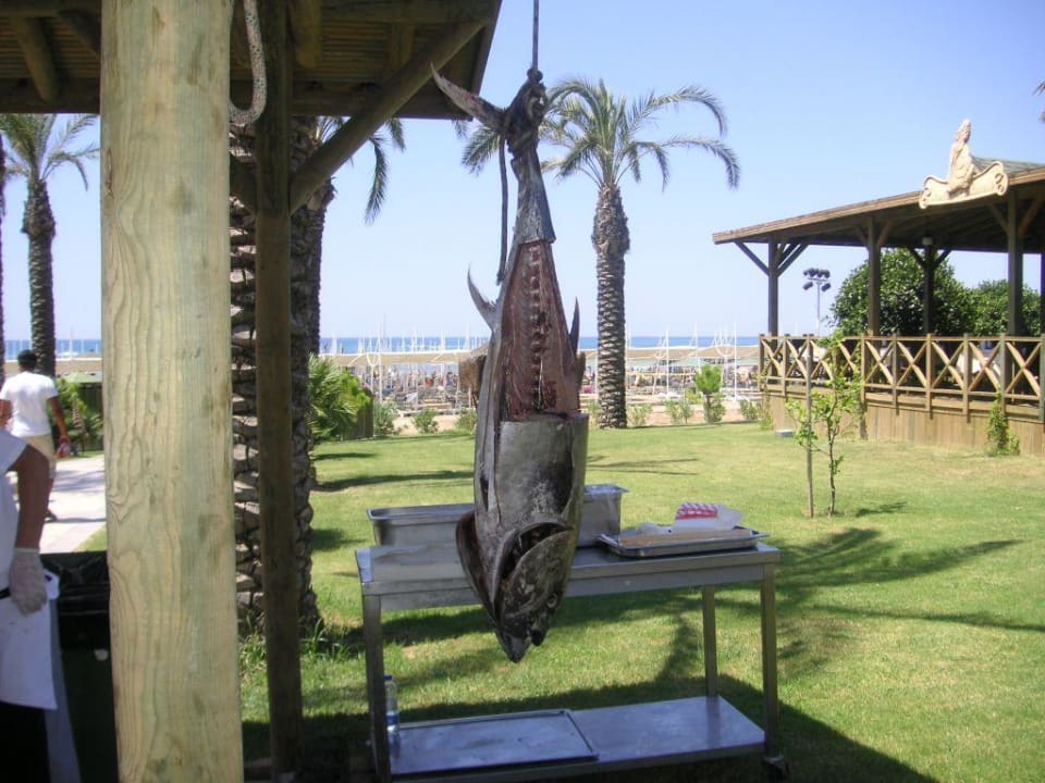 Immer Dienstags ist Thunfisch- gegrillt- Tag Sunis Kumköy Beach Resort Hotel & Spa
