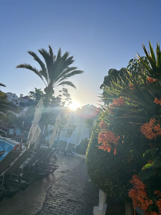 Pool Los Olivos Beach Resort