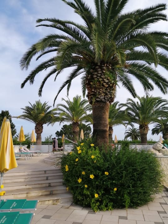 Gartenanlage Aldiana Club Rocca Nettuno Calabria