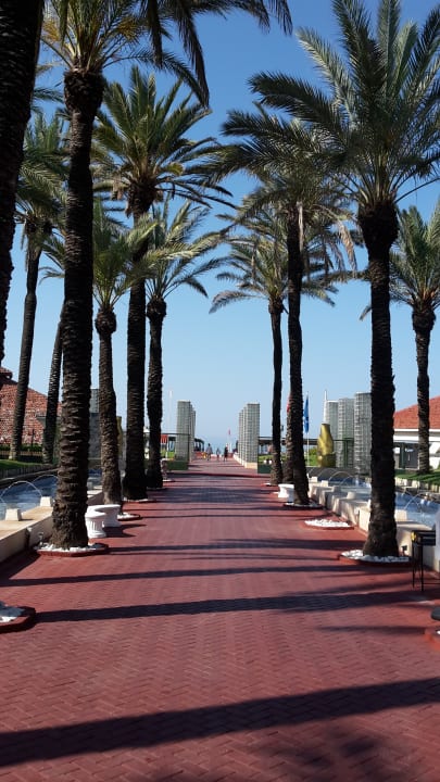 Gartenanlage Monachus Family Resort Sorgun
