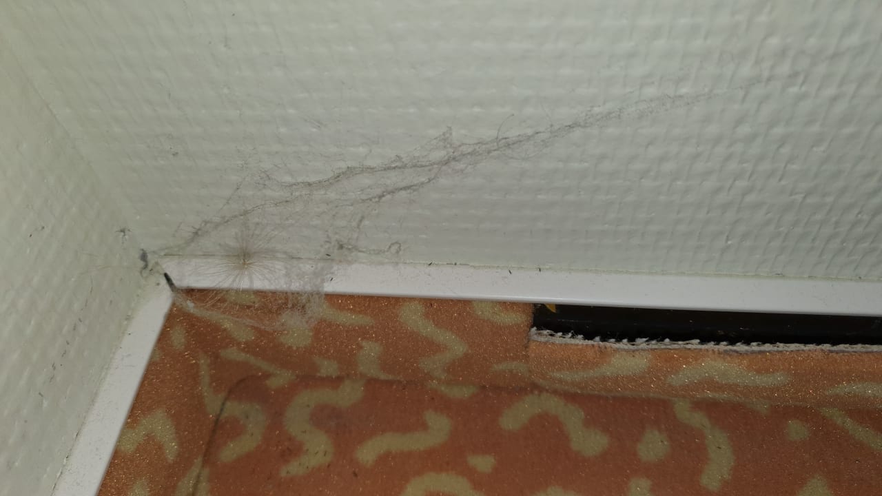 Zimmer SAVOY Hotel Bad Mergentheim