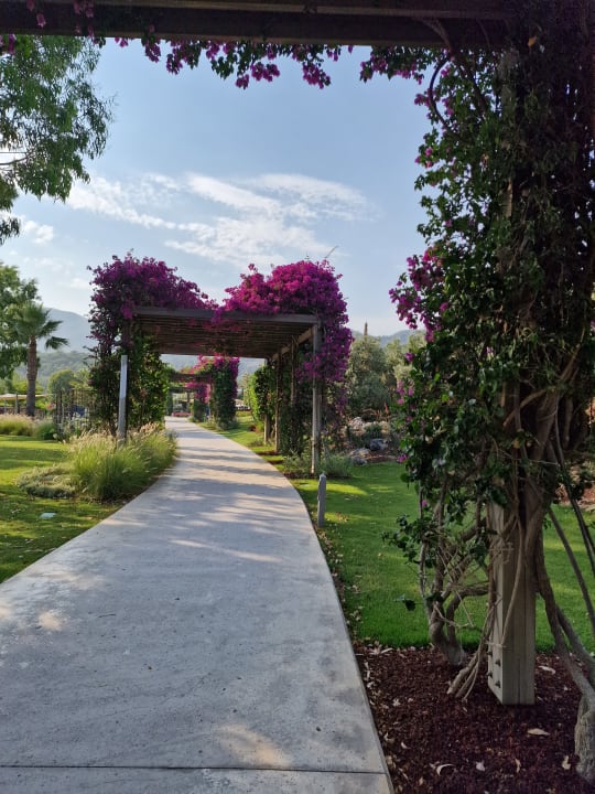 Gartenanlage TUI BLUE Sarigerme Park