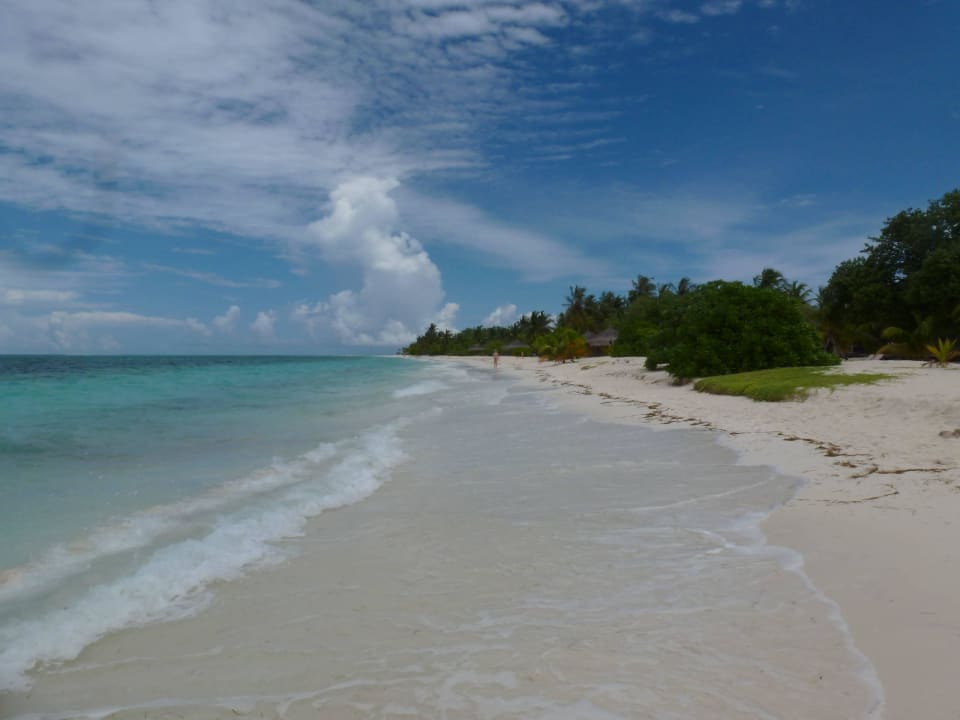 Türkises Meer und weißer Sand Kuredu Island Resort & Spa