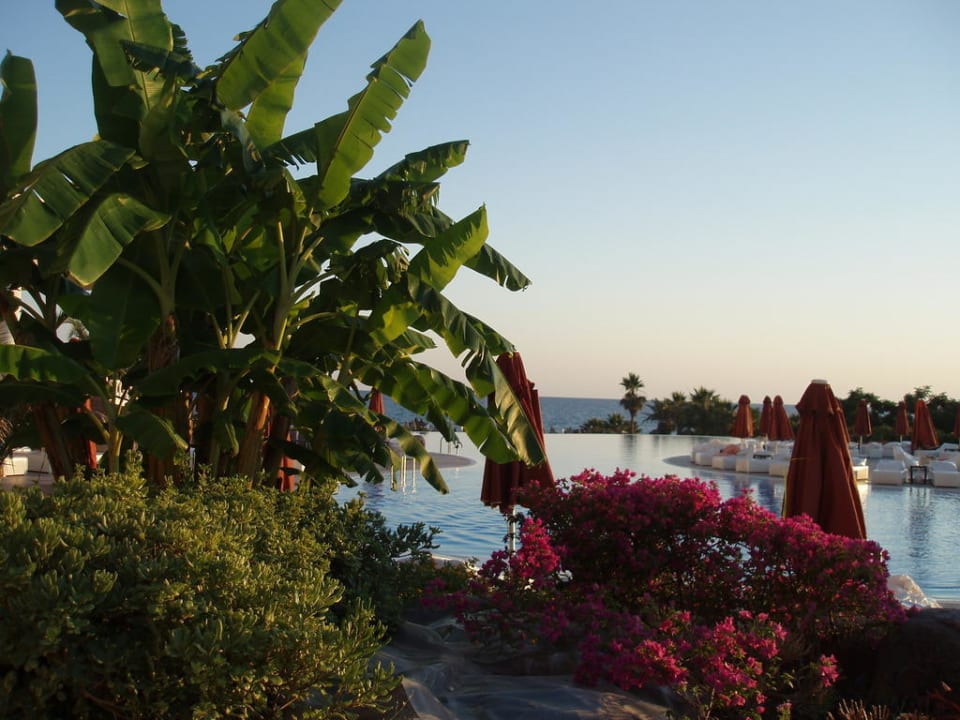 Basen Starlight Resort Hotel