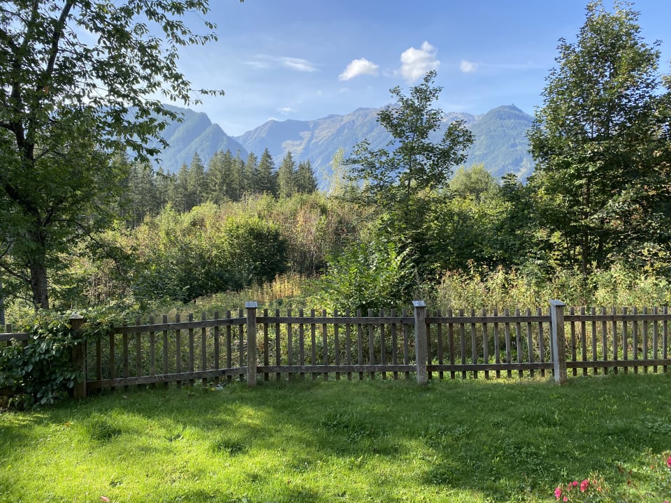 Ausblick Apartment Waldhäusl