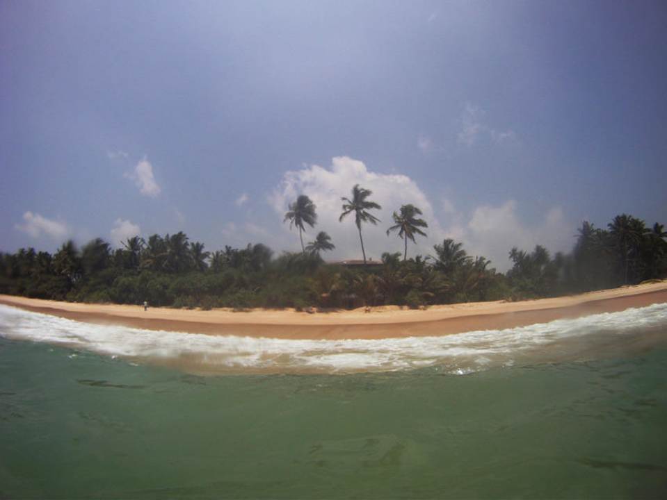 Schildkrötenperspektive Hotel Haus am Meer Wilde Ananas