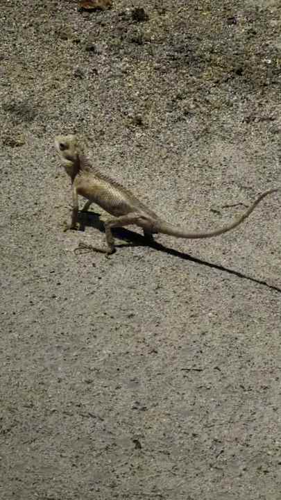 Sonstiges Kuredu Island Resort & Spa