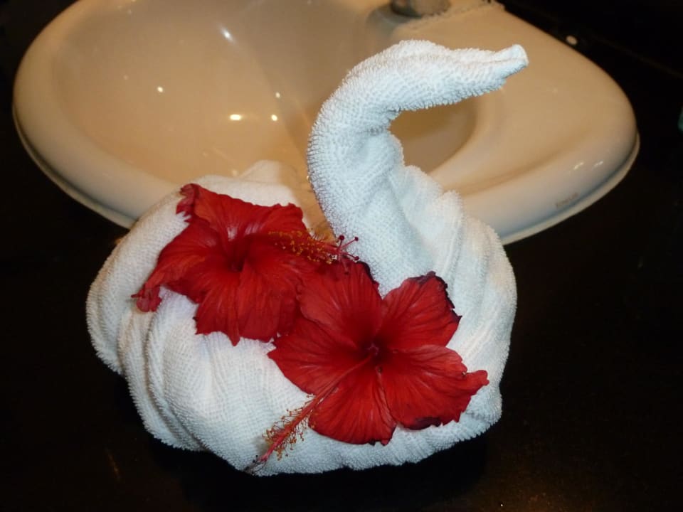 Kunstwerk des Zimmermädchens Berjaya Beau Vallon Bay Resort & Casino