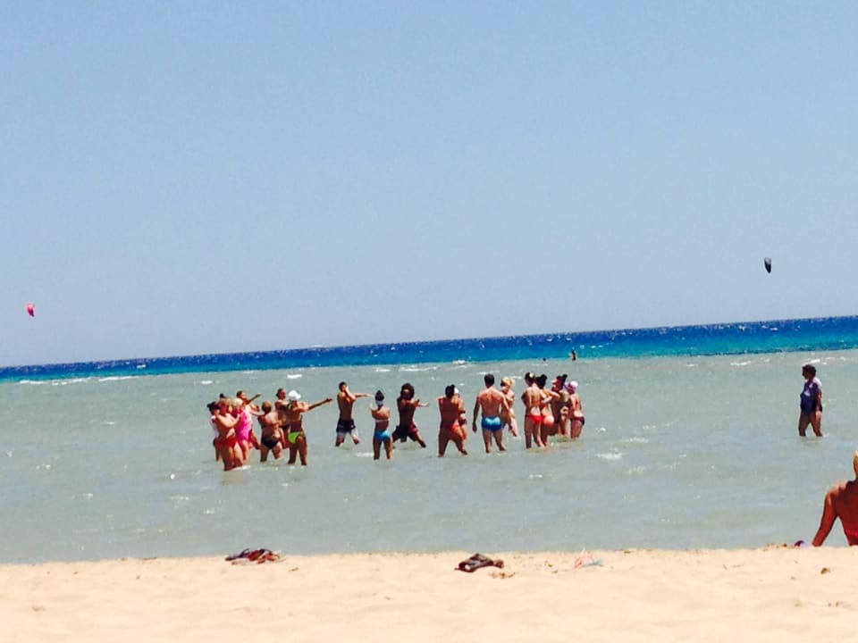 Wasser-Gym mit Flachwasserbereich Shams Safaga Resort