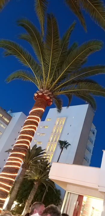 Außenansicht CM Playa del Moro