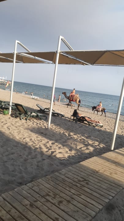 Strand Sherwood Dreams Resort