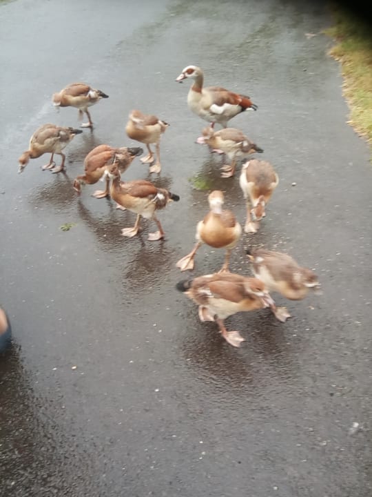 Sonstiges Haus Karina