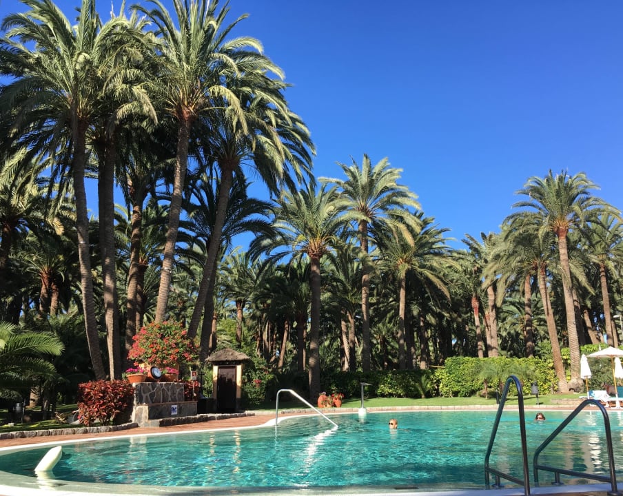 Poolanlage Seaside Hotel Palm Beach