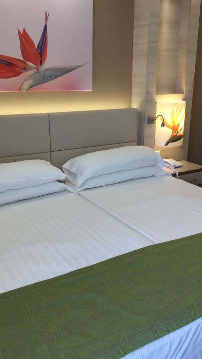 Zimmer Bull Costa Canaria & Spa - Adults only