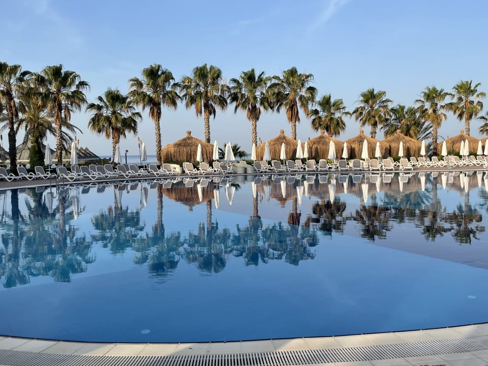 Pool Paloma Oceana