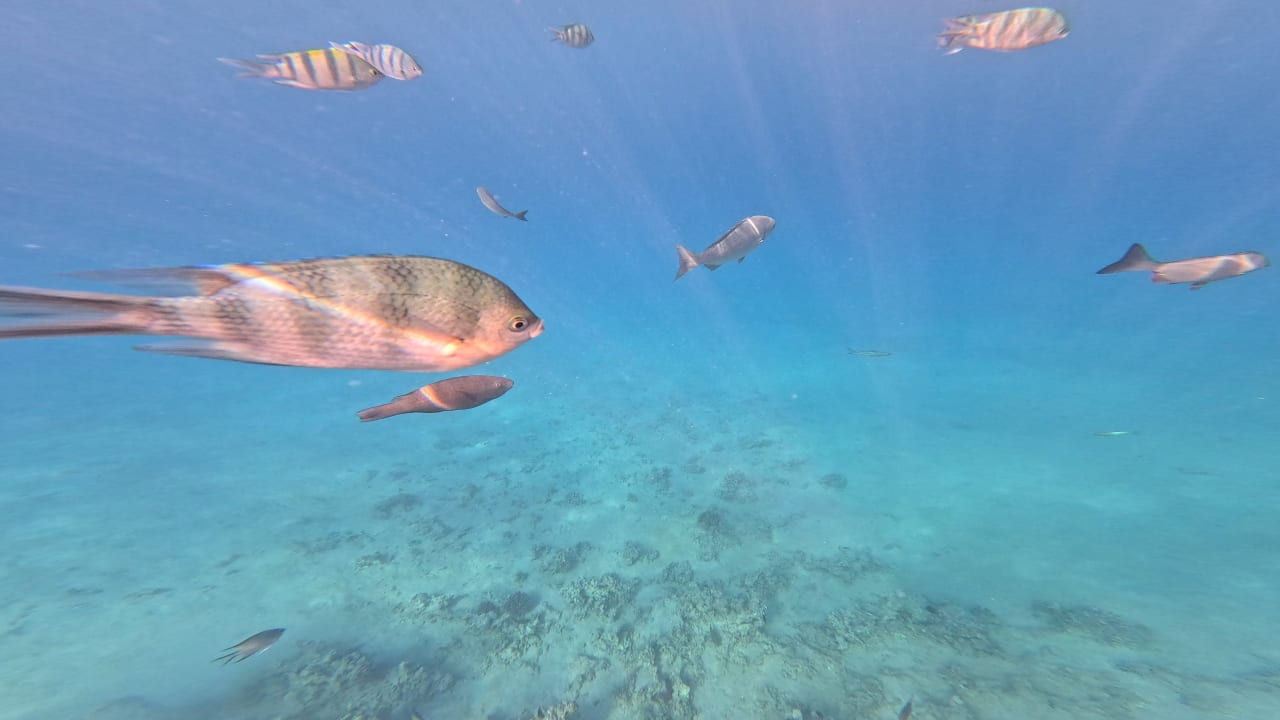 Sport & Freizeit Stella Beach Resort & Spa Makadi Bay