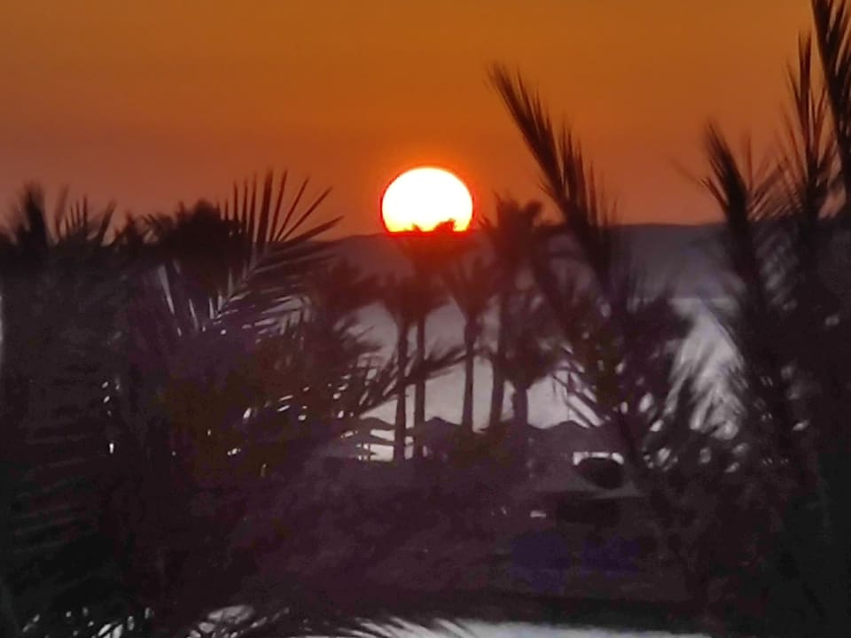 Ausblick Arabia Azur Resort