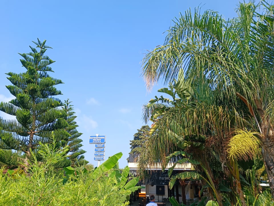 Gartenanlage Haydarpasha Palace