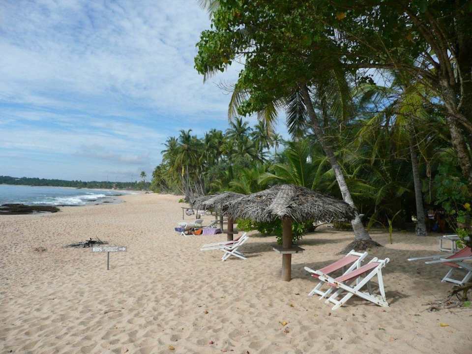 Sicht vom Strand zum Guesthouse Ibis Guesthouse