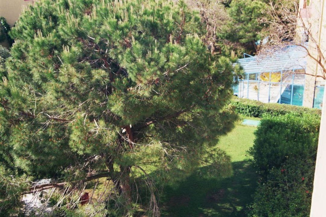 Blick aufs Hallenbad Asteria Collection Side
