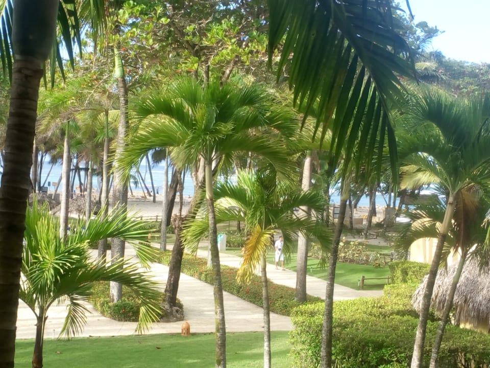 Ausblick Iberostar Waves Costa Dorada