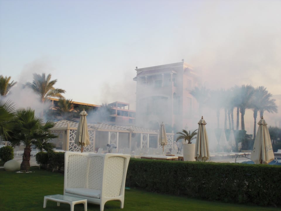 Der Insekten-Zerstäuber kommt.... Premier Le Reve Hotel & Spa