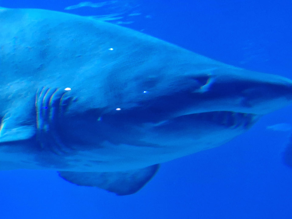 Sonstiges Grupotel Acapulco Playa - Adults Only