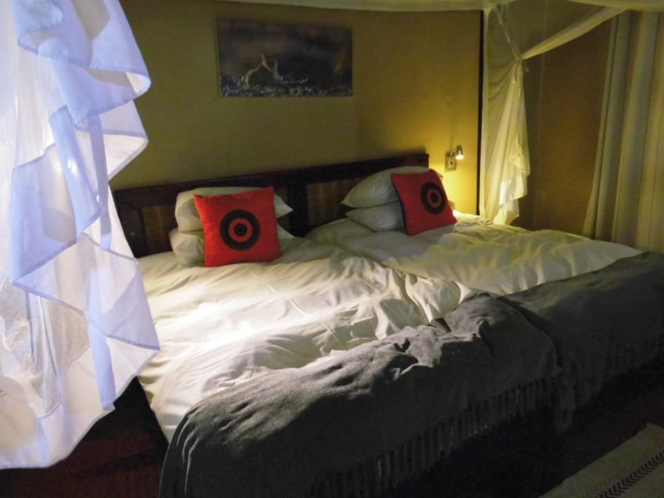 Zimmer Palmwag Lodge