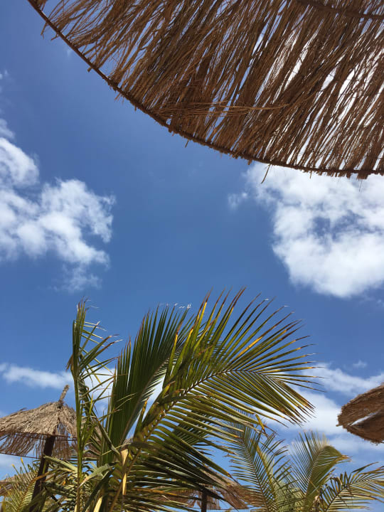 Strandliegen Hotel Riu Touareg