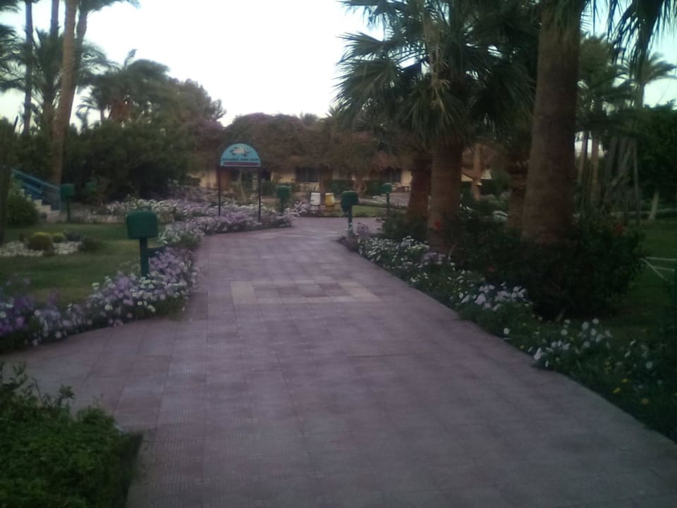 Nice garden Shams Safaga Resort