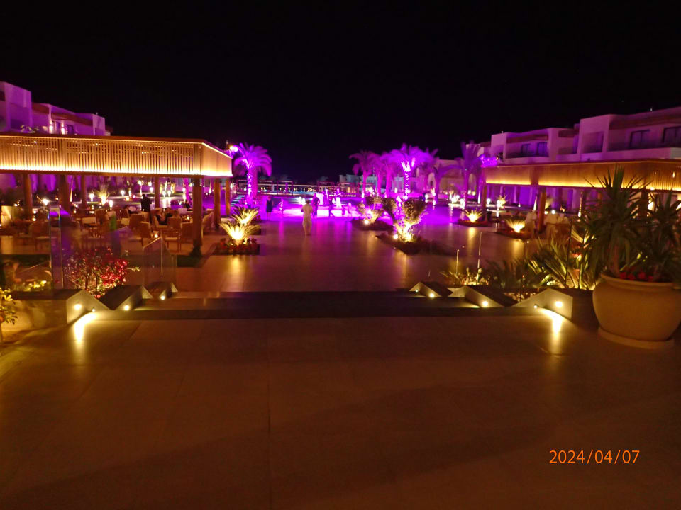 Gastro JAZ Elite Amara