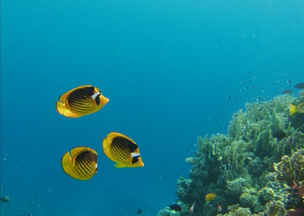 Strand Bliss Nada Beach Resort