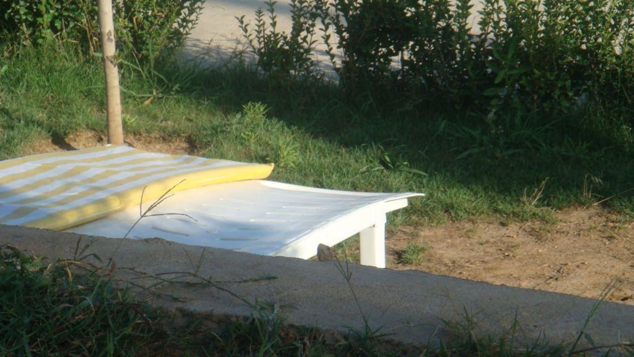 Jaszczurka Oz Hotels Incekum Beach