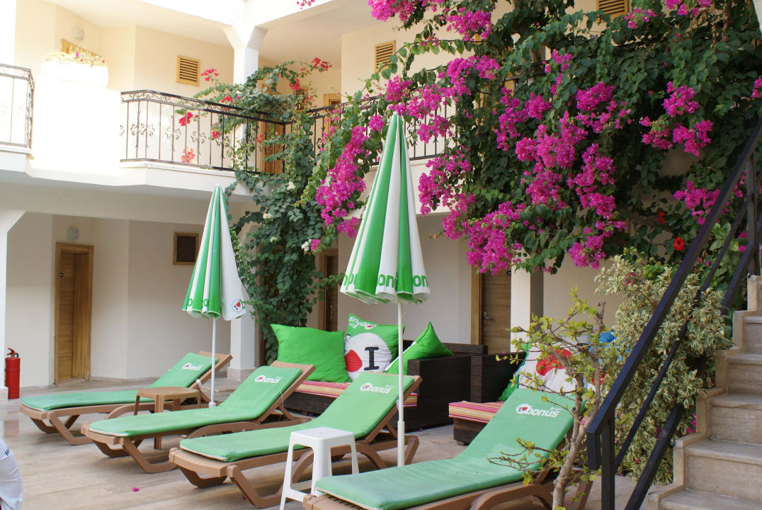 Leżaki przy basenie Hotel Blue Bay