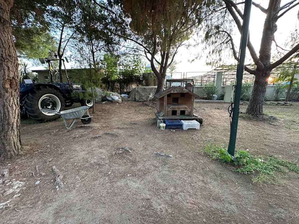 Gartenanlage Calimera Serra Palace