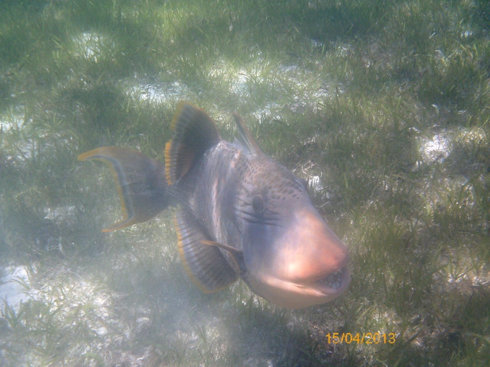 Unter Wasser Kuredu Island Resort & Spa