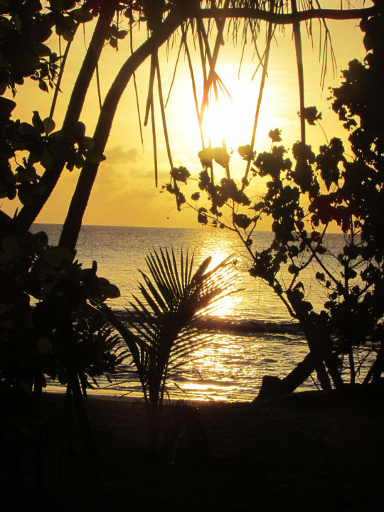 Sonnenaufgang NH Collection Maldives Reethi Resort