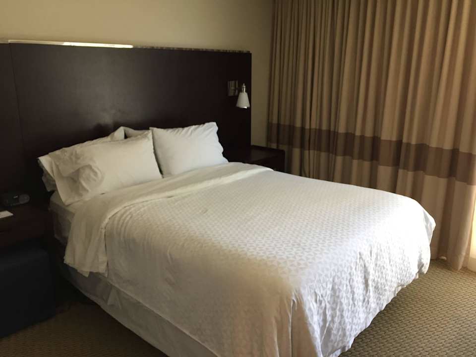 Zimmer Hotel Four Points by Sheraton - Tallahassee Downtown