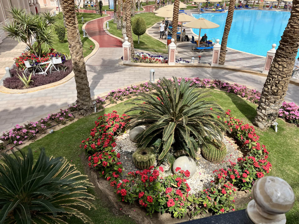 Gartenanlage Pickalbatros Palace Resort